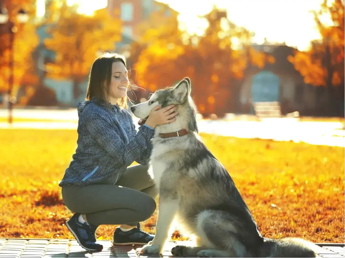 《女人与狗》高清完整版无删减HD 1080P免费观看-欧美电影《女人与狗》无广告百度网盘迅雷下载-《女人与狗》中文版全片流畅体验