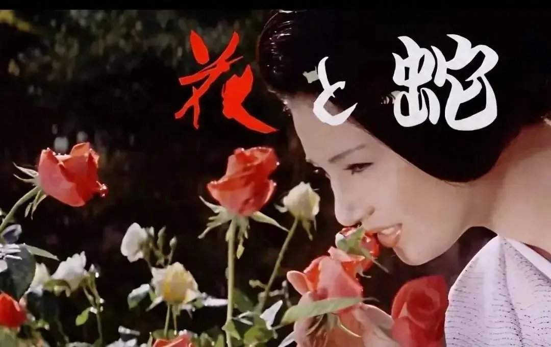 《花与蛇3：白衣绳奴》1080P蓝光超清完整版 - 日本电影无删减在线观看 - 花与蛇3：白衣绳奴国语中字高清播放