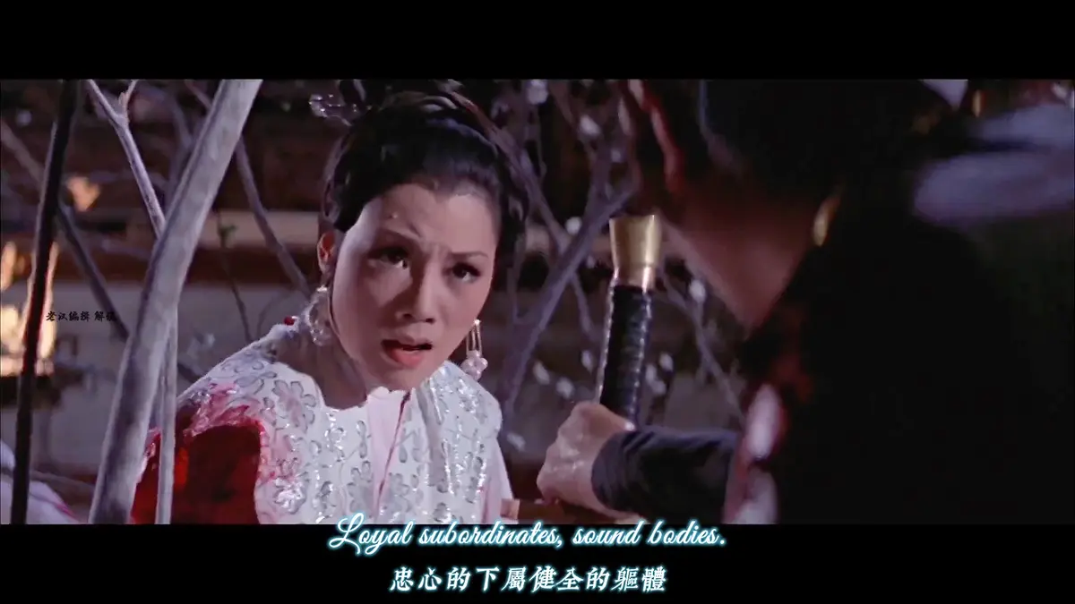 香港爱情电影《爱奴》未删减版高清免费在线播放 - 香港电影《爱奴》高清完整版剧情片-VS影院