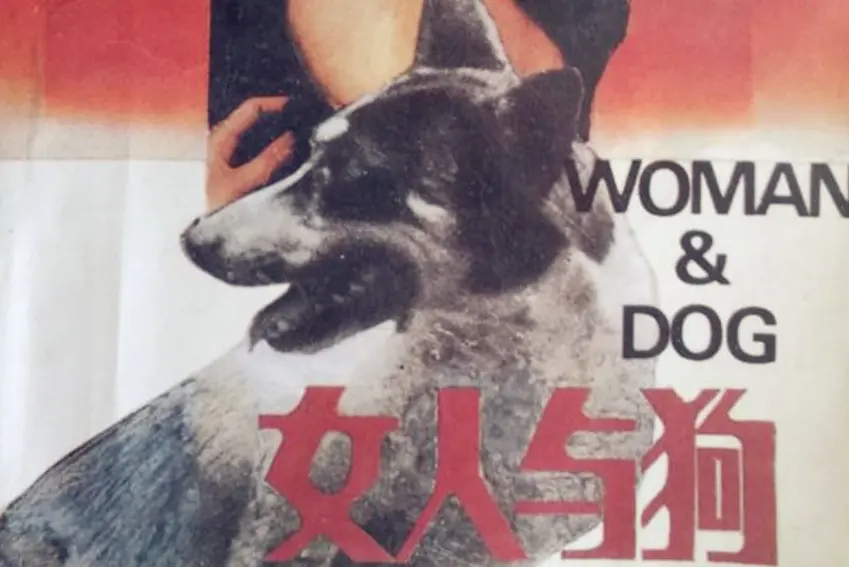 《女人与狗》全片完整版免费播放 - 欧美电影女人与狗HD 1080P蓝光高清观看