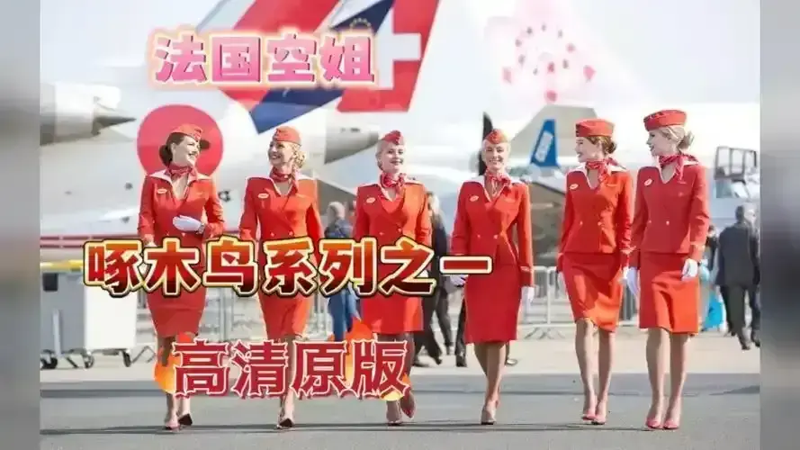 《法国空姐》2017-2023三季全收录1080P超清法语原声无广告-《法国空姐》影视平台同步上线免费放送