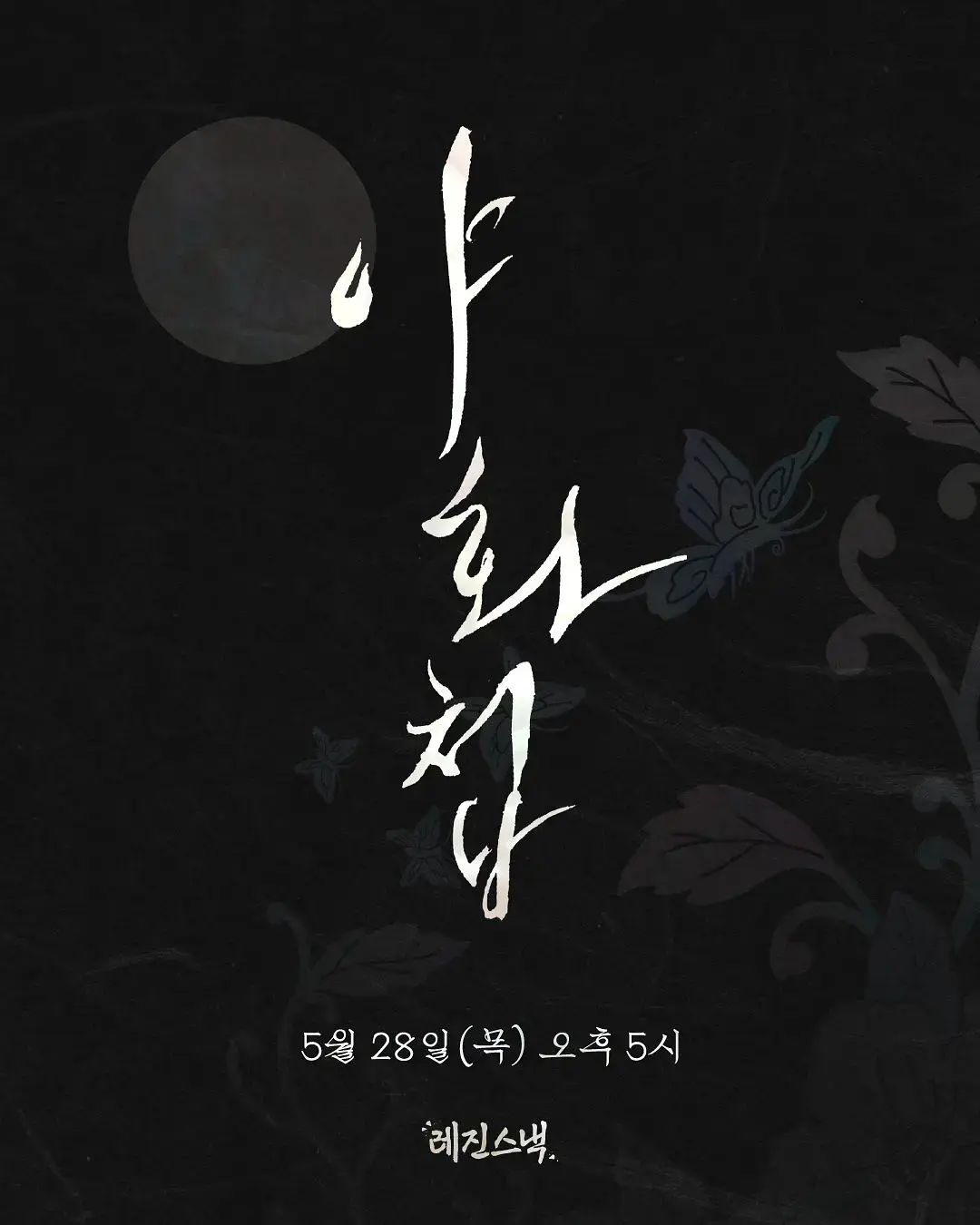 双男主韩剧《夜画帐》全12集免费在线观看，2026必看韩剧《夜画帐》，1080P高清无删减版在线享-星辰影视