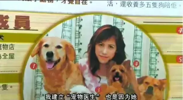 欧美电影《女人与狗》中字无删减 免费在线观看全集 - 《女人与狗》1080P高清播放 - 无广告舒适观影 - 网盘资源一键保存