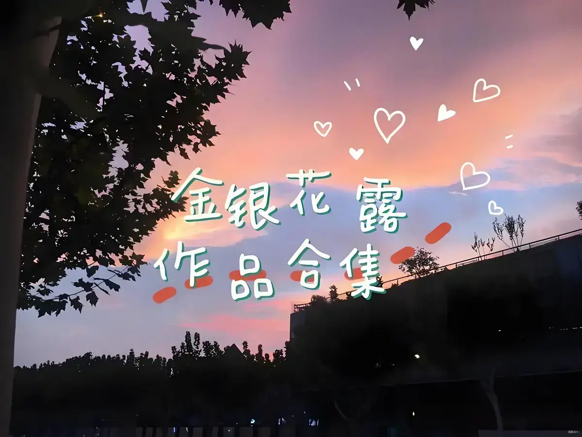 免费看《金银花露的所有书》全集 - 乐可情节扣人心弦 - 困苦人生路引人深思 - 1080P高清画质